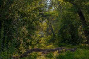 20代女性の失恋から立ち直る平均的な期間はどのくらい？