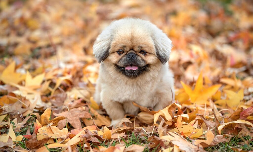 マッチングアプリで失恋を乗り越えるための方法は？