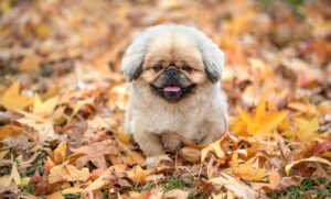 マッチングアプリで失恋を乗り越えるための方法は？