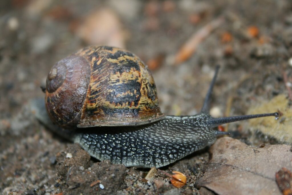 元カレのロスでフルタイム勤務が疲れる時、どう対処すればいい？