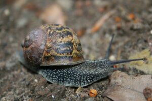 元カレのロスでフルタイム勤務が疲れる時、どう対処すればいい？