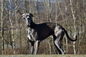 元彼ロスが原因で体調不良になることはあるの？