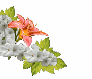 元カレの新彼女に対する辛い気持ちはどう乗り越えるべき？