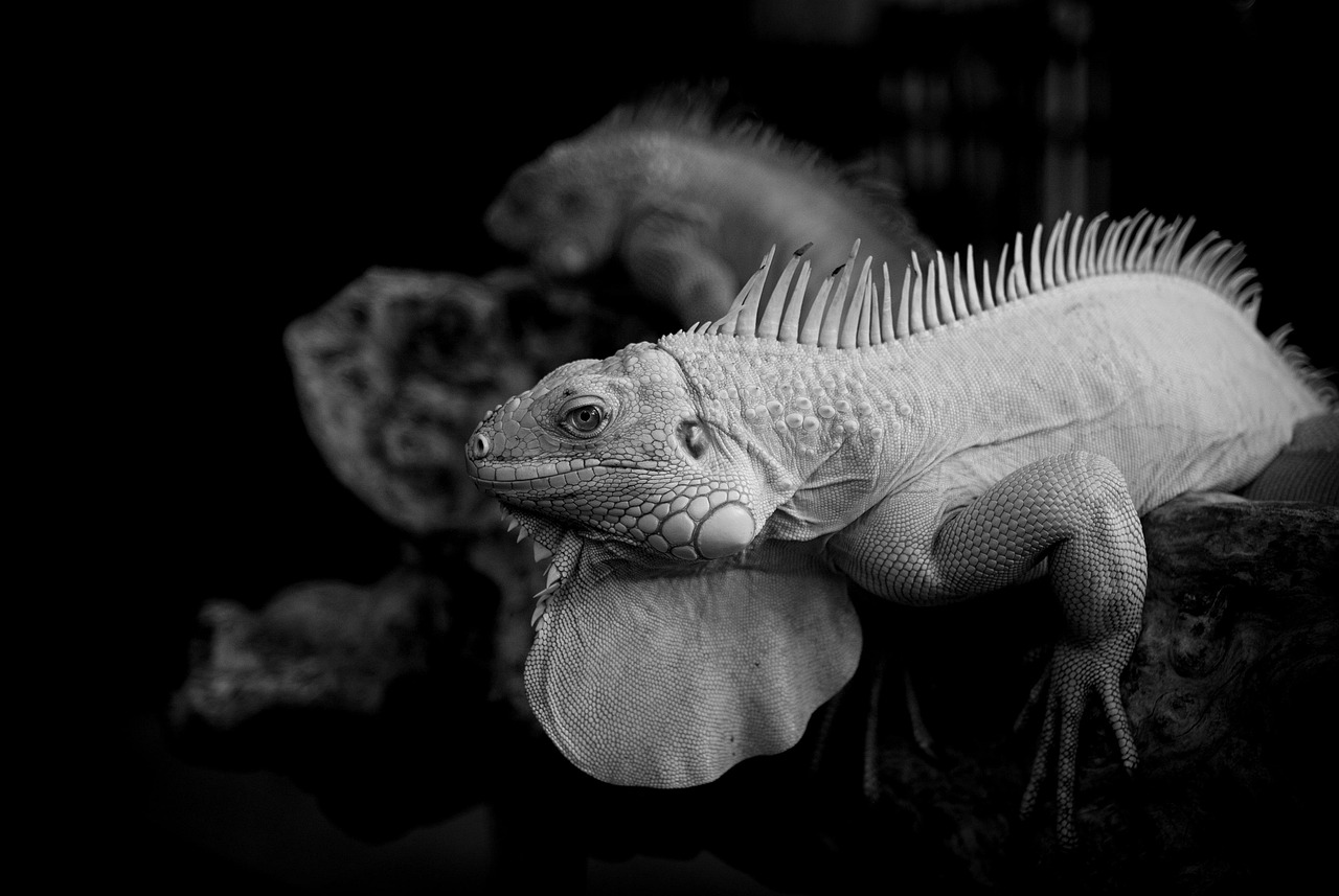 元カレロスを乗り越えるための他人と比べない心構えとは？