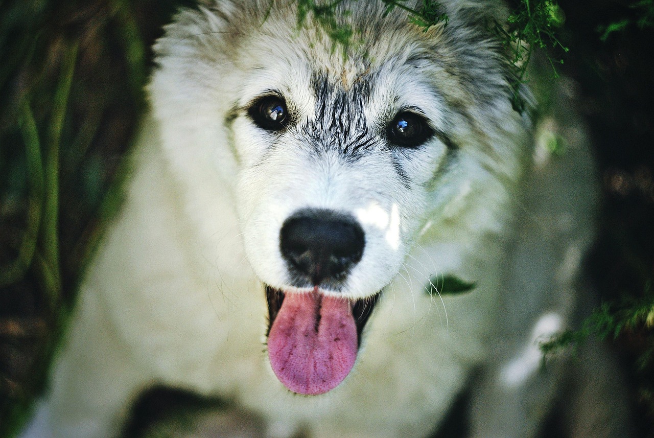 元カレのロスで悩むあなたが写真削除できない理由は？