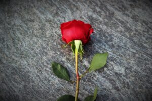 失恋から立ち直れないと感じた時の具体的な方法は？