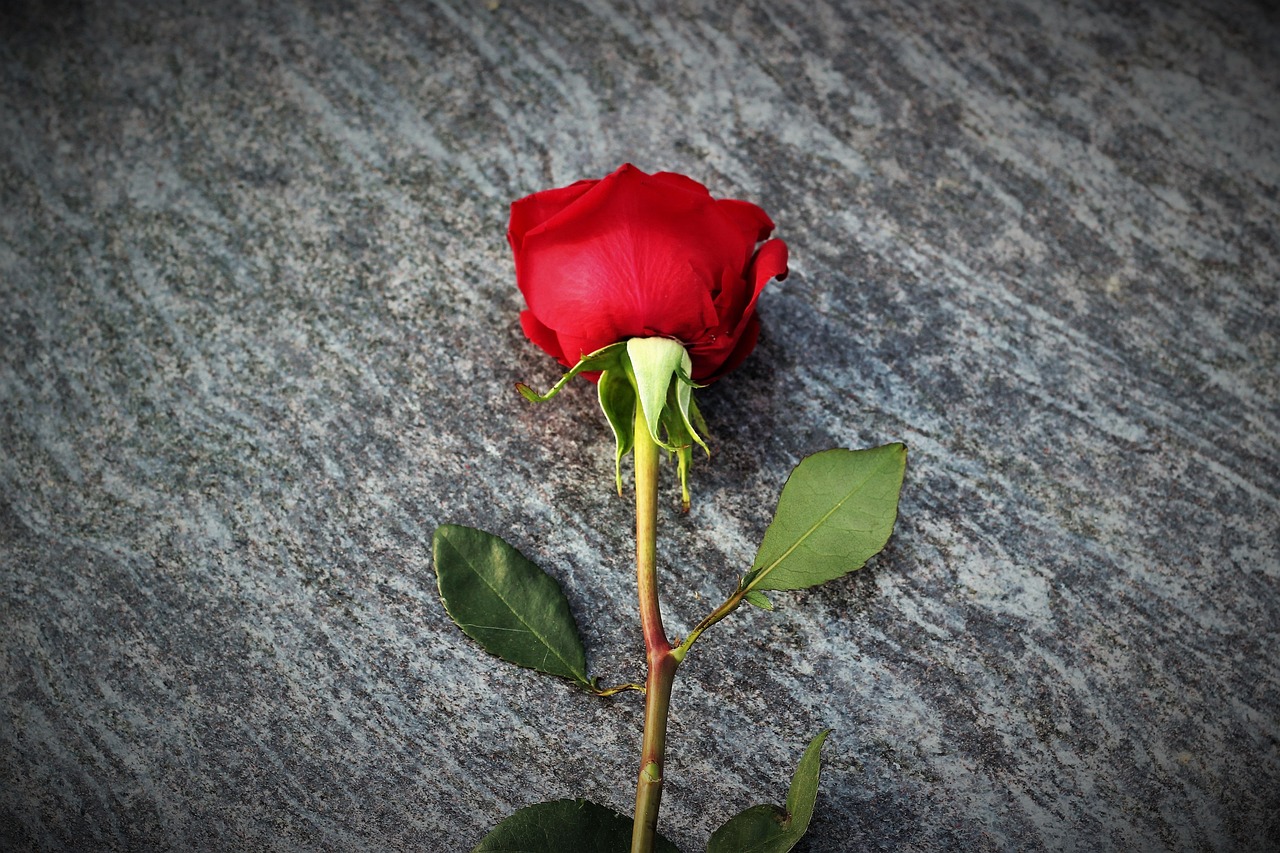 失恋から立ち直れないと感じた時の具体的な方法は？