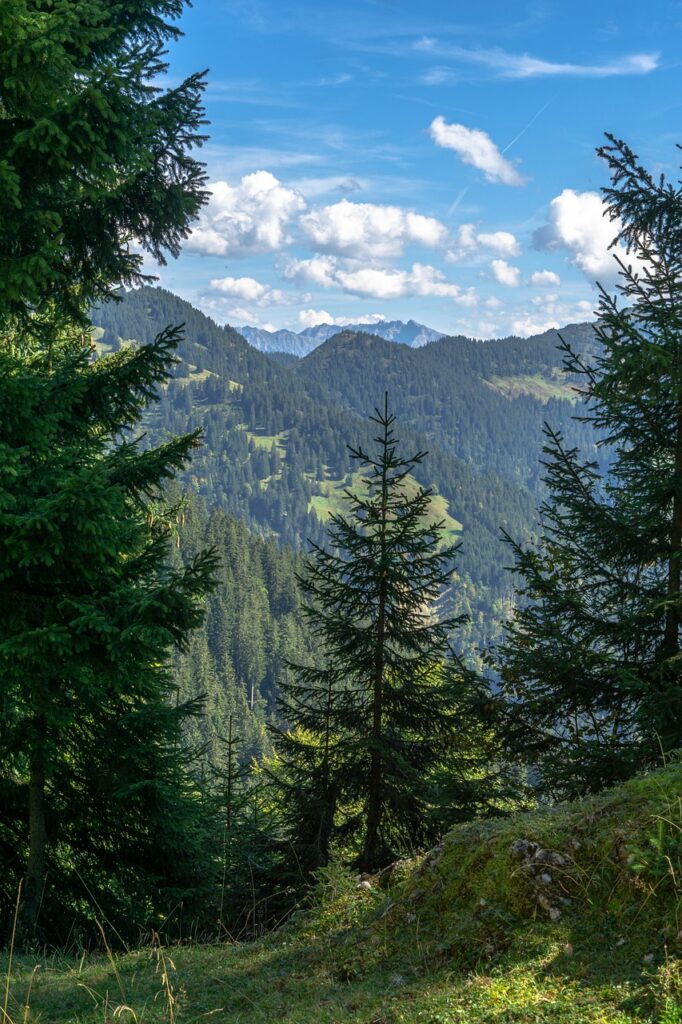 彼女に振られた後に心を癒すための忘れる方法は？