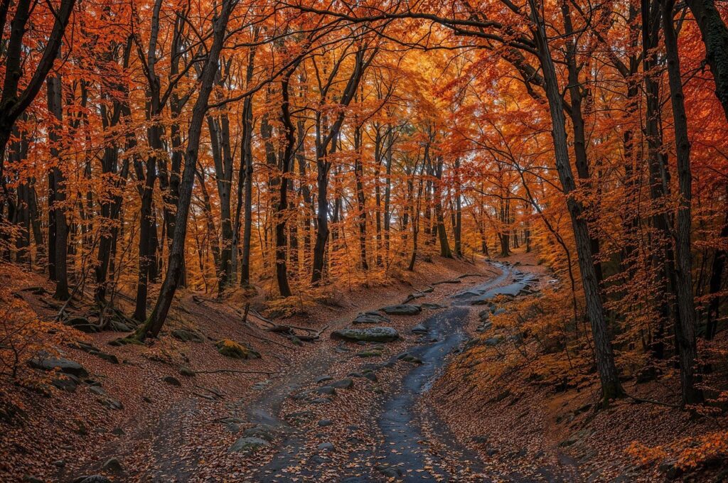 彼氏に振られた後に諦めるための効果的な方法は？