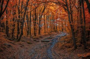 彼氏に振られた後に諦めるための効果的な方法は？