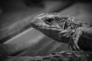 元カノとの恋愛を成功させるための具体的な方法は？