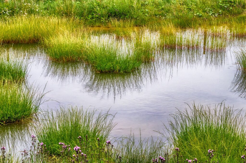 元カレの影響を受けないための心構えとは何か？