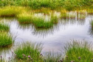 元カレの影響を受けないための心構えとは何か？