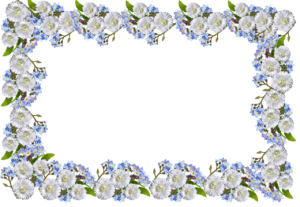 元カレを忘れられない理由とは何か？