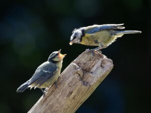 元カレを忘れるためにやるべきことは何？